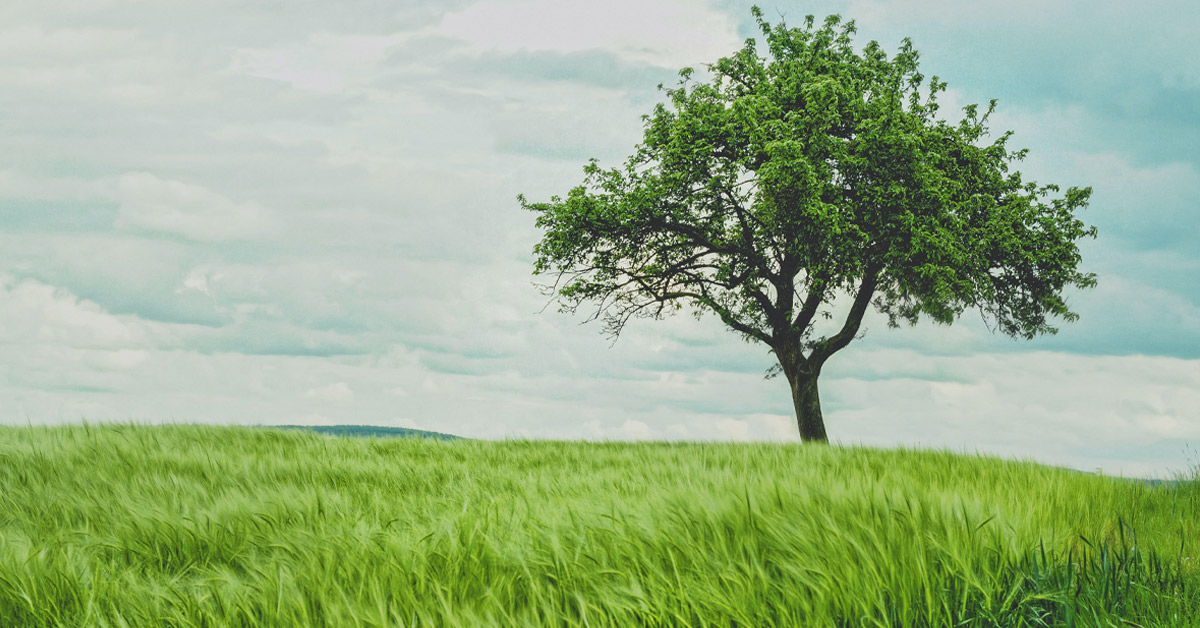 8 Factors of a Flourishing Workplace