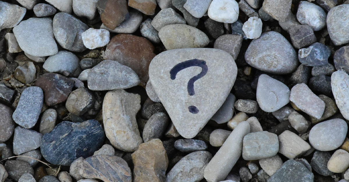 The Most Important Question Every Leader Must Ask