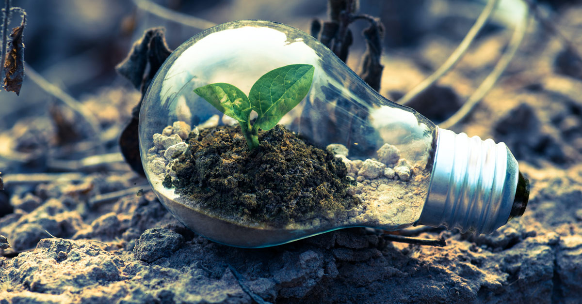 Six Strategic Checkpoints for Growth and Impact