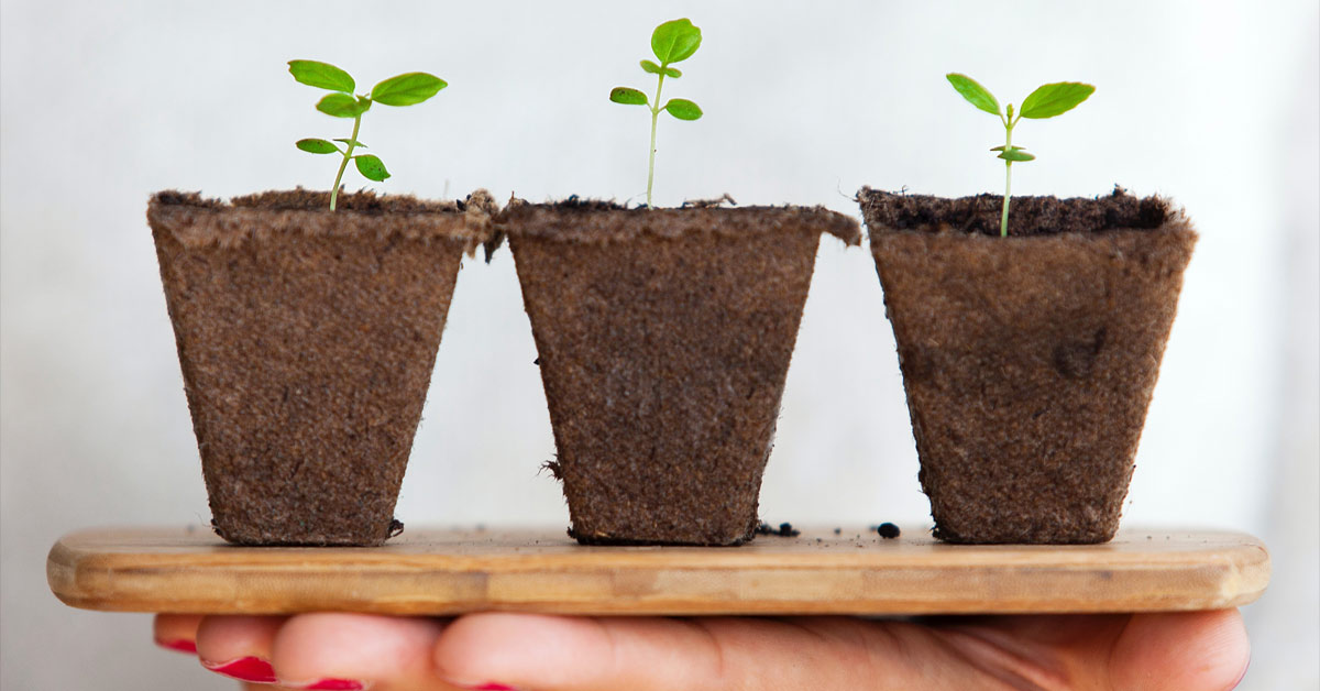 How Top Leaders Facilitate Uplifting Growth