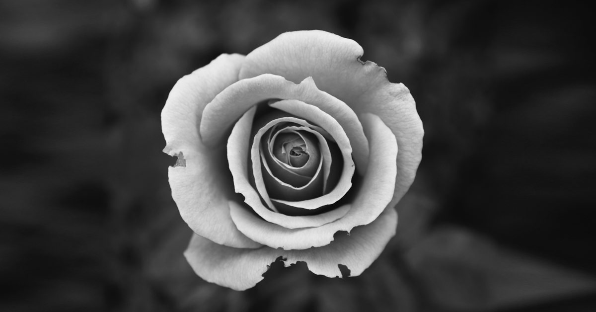 Christian leaders aren't perfect and neither are Christian workplaces