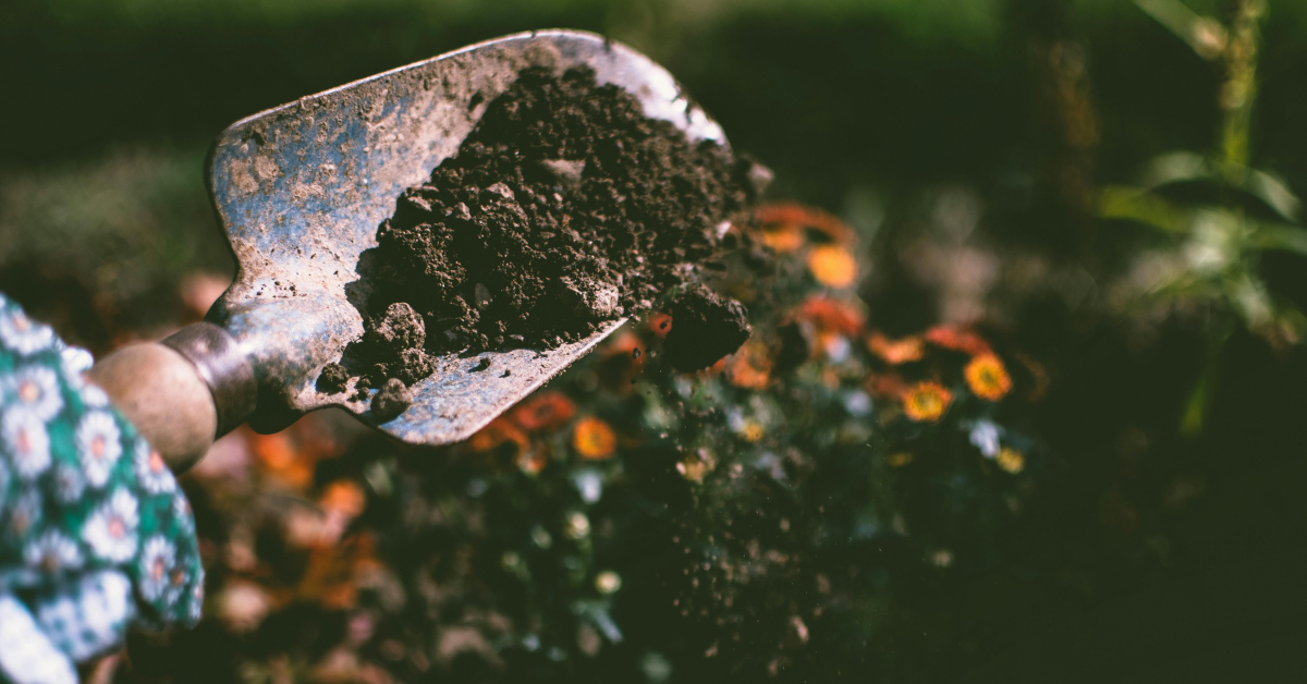 Stewarding Your Soil: A Christian Leader’s Guide to Culture Building