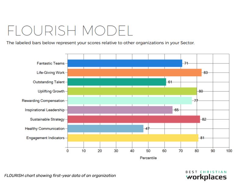 FLOURISH chart showing first-year data of an organization